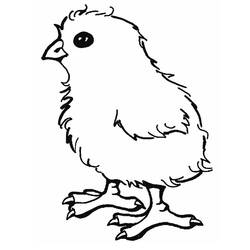 Раскраска: цыпленок (Животные) #15311 - Раскраски для печати