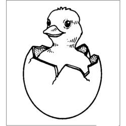 Раскраска: цыпленок (Животные) #15331 - Раскраски для печати