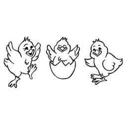 Раскраска: цыпленок (Животные) #15345 - Раскраски для печати