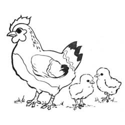 Раскраска: цыпленок (Животные) #15352 - Раскраски для печати