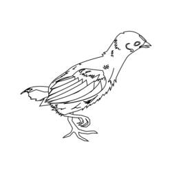 Раскраска: цыпленок (Животные) #15386 - Бесплатные раскраски для печати