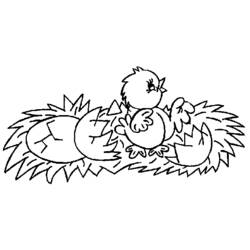Раскраска: цыпленок (Животные) #15401 - Раскраски для печати