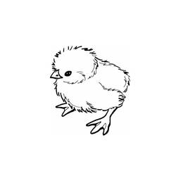 Раскраска: цыпленок (Животные) #15412 - Раскраски для печати