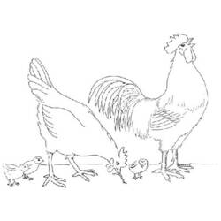Раскраска: цыпленок (Животные) #15415 - Раскраски для печати