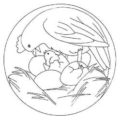 Раскраска: цыпленок (Животные) #15499 - Бесплатные раскраски для печати