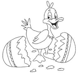 Раскраска: цыпленок (Животные) #15509 - Бесплатные раскраски для печати