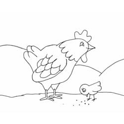 Раскраска: курица (Животные) #17222 - Раскраски для печати
