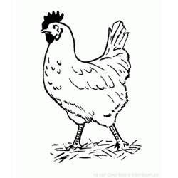 Раскраска: курица (Животные) #17226 - Раскраски для печати