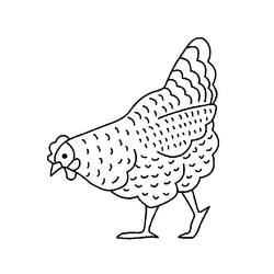 Раскраска: курица (Животные) #17228 - Раскраски для печати