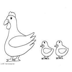 Раскраска: курица (Животные) #17238 - Раскраски для печати