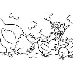 Раскраска: курица (Животные) #17248 - Раскраски для печати