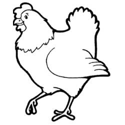 Раскраски: курица - Раскраски для печати