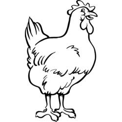 Раскраска: курица (Животные) #17262 - Раскраски для печати