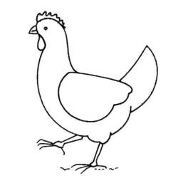 Раскраска: курица (Животные) #17275 - Раскраски для печати