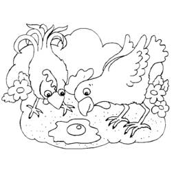 Раскраска: курица (Животные) #17348 - Бесплатные раскраски для печати
