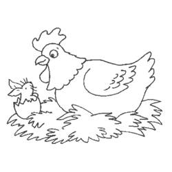 Раскраска: курица (Животные) #17350 - Раскраски для печати