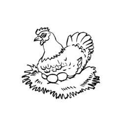 Раскраска: курица (Животные) #17397 - Раскраски для печати
