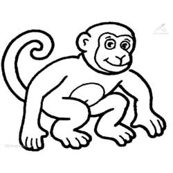 Раскраска: шимпанзе (Животные) #2788 - Раскраски для печати