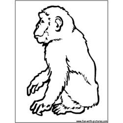 Раскраска: шимпанзе (Животные) #2794 - Раскраски для печати