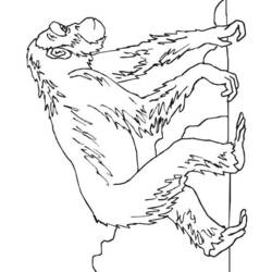 Раскраска: шимпанзе (Животные) #2796 - Раскраски для печати