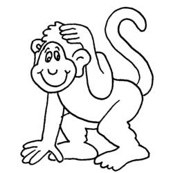 Раскраска: шимпанзе (Животные) #2809 - Раскраски для печати