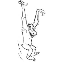 Раскраска: шимпанзе (Животные) #2812 - Раскраски для печати