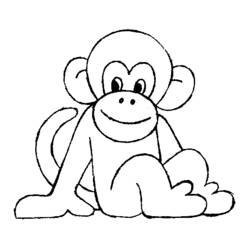 Раскраска: шимпанзе (Животные) #2851 - Раскраски для печати