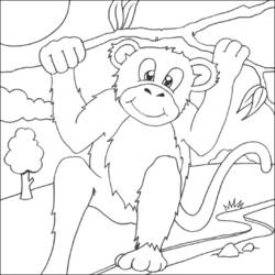 Раскраска: шимпанзе (Животные) #2866 - Раскраски для печати