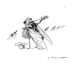 Раскраска: цикада (Животные) #18485 - Раскраски для печати