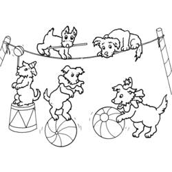 Раскраска: Цирковые животные (Животные) #20854 - Раскраски для печати