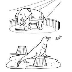 Раскраска: Цирковые животные (Животные) #20978 - Раскраски для печати