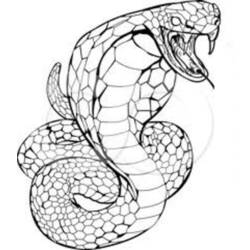 Раскраска: кобра (Животные) #3220 - Раскраски для печати