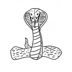 Раскраска: кобра (Животные) #3228 - Раскраски для печати