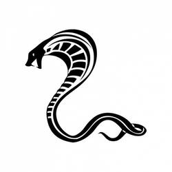 Раскраска: кобра (Животные) #3362 - Раскраски для печати