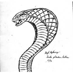 Раскраска: кобра (Животные) #3370 - Раскраски для печати