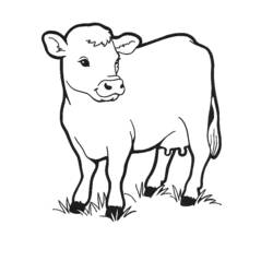 Раскраска: корова (Животные) #13189 - Раскраски для печати