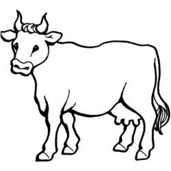 Раскраска: корова (Животные) #13195 - Раскраски для печати