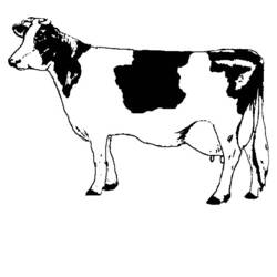 Раскраска: корова (Животные) #13196 - Раскраски для печати