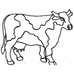 Раскраска: корова (Животные) #13208 - Раскраски для печати