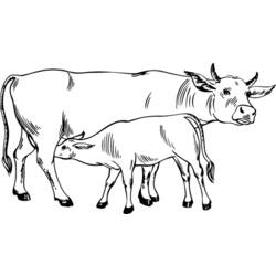 Раскраска: корова (Животные) #13210 - Бесплатные раскраски для печати
