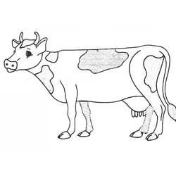 Раскраска: корова (Животные) #13227 - Раскраски для печати