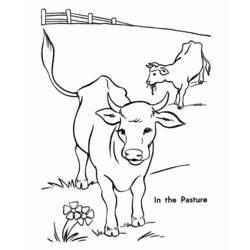 Раскраска: корова (Животные) #13229 - Бесплатные раскраски для печати