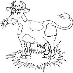 Раскраска: корова (Животные) #13233 - Бесплатные раскраски для печати