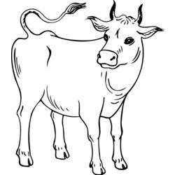 Раскраска: корова (Животные) #13248 - Раскраски для печати