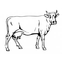 Раскраска: корова (Животные) #13261 - Раскраски для печати
