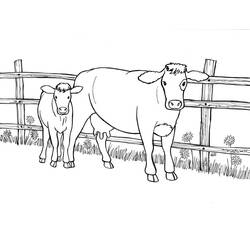 Раскраска: корова (Животные) #13292 - Раскраски для печати