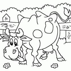 Раскраска: корова (Животные) #13363 - Бесплатные раскраски для печати
