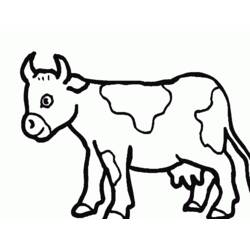 Раскраска: корова (Животные) #13373 - Раскраски для печати