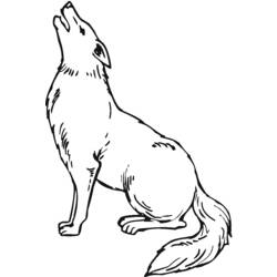 Раскраска: койот (Животные) #4492 - Раскраски для печати