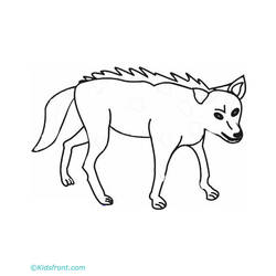 Раскраска: койот (Животные) #4513 - Раскраски для печати